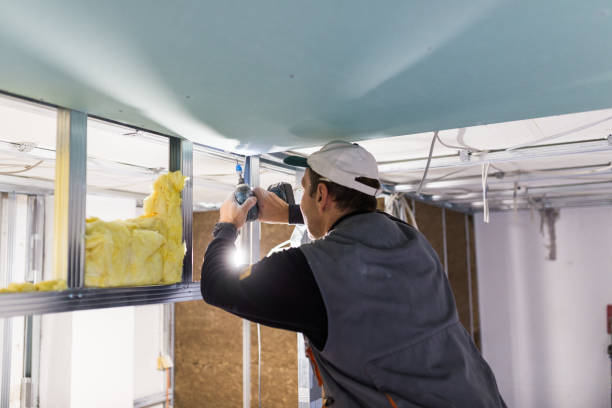 Best Specialized Insulation Services in Walnut Grove, CA