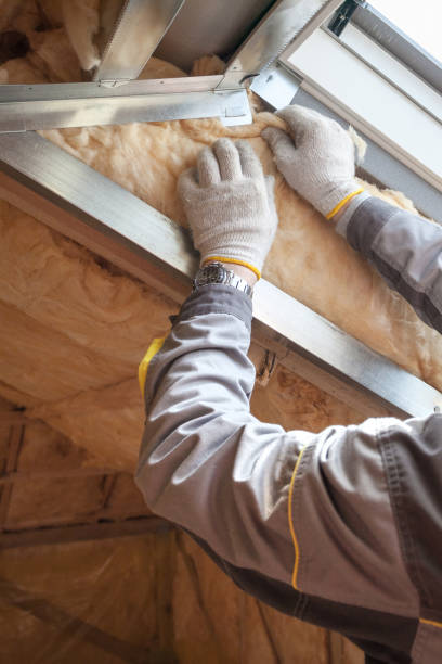 Best Geographic-Specific Insulation Services in Walnut Grove, CA