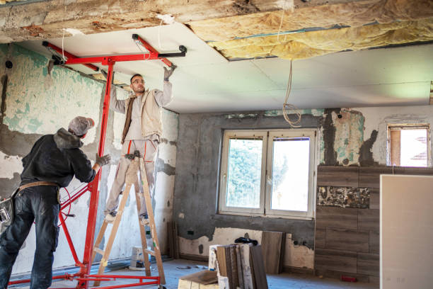 Best Eco-Friendly Insulation in Walnut Grove, CA